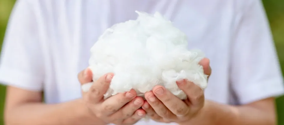 Sợi chủ lực Polyester Fine Denier là gì?