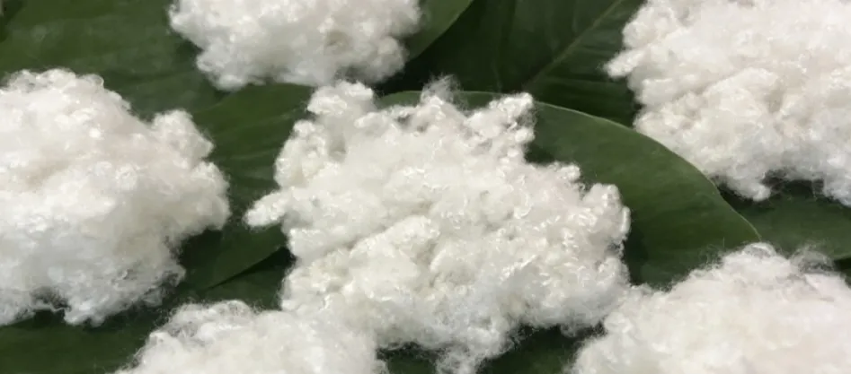 Polyester có phải là sợi tổng hợp không? Những điều bạn cần biết